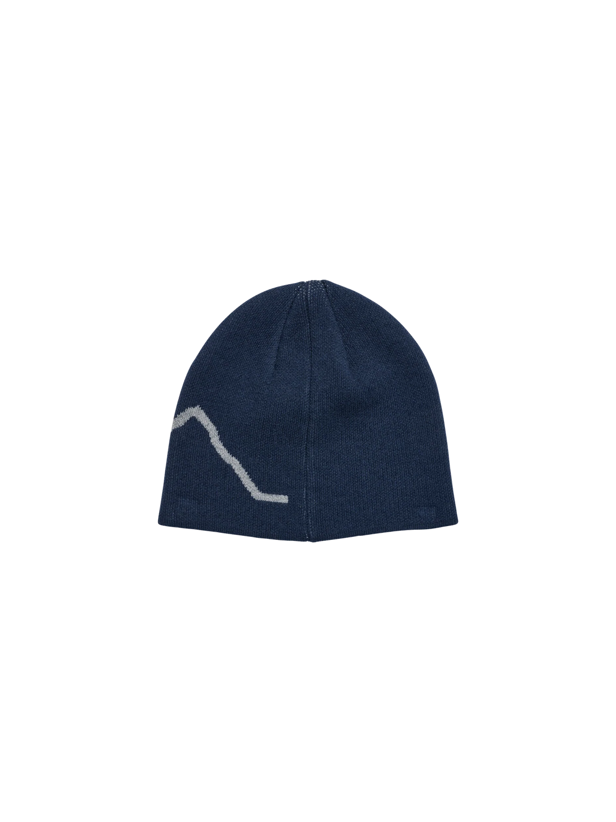 HALO LOGO BEANIE GREY (TURBULENCE)